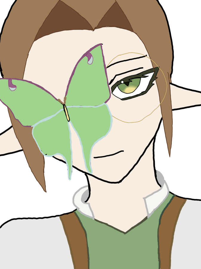 Luna Moth Illustration Art by LunaChocolate2