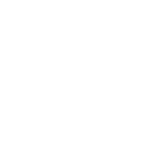 Steam